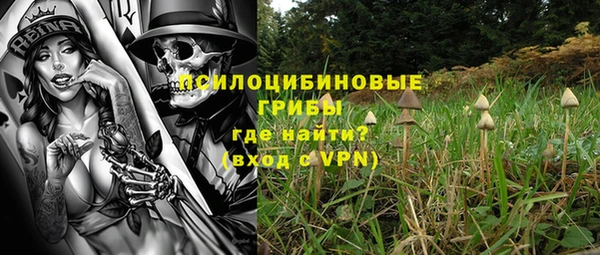 индика Алзамай