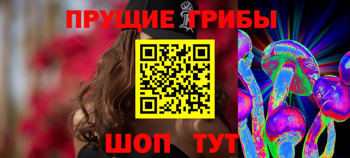 Галлюциногенные грибы MAGIC MUSHROOMS  где продают   Новоалтайск  Вход с VPN 