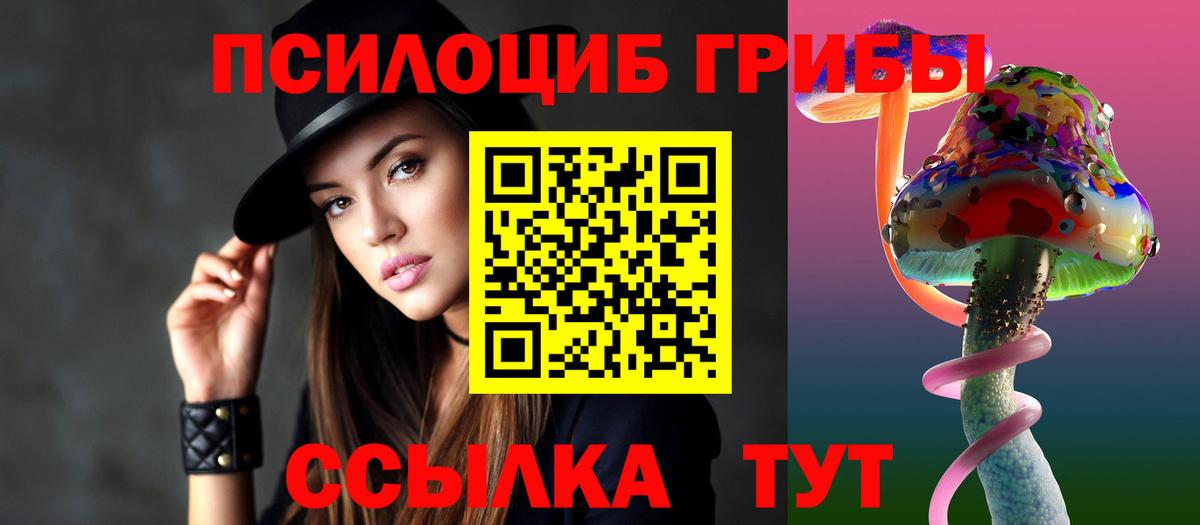 Галлюциногенные грибы Psilocybine cubensis Новоалтайск