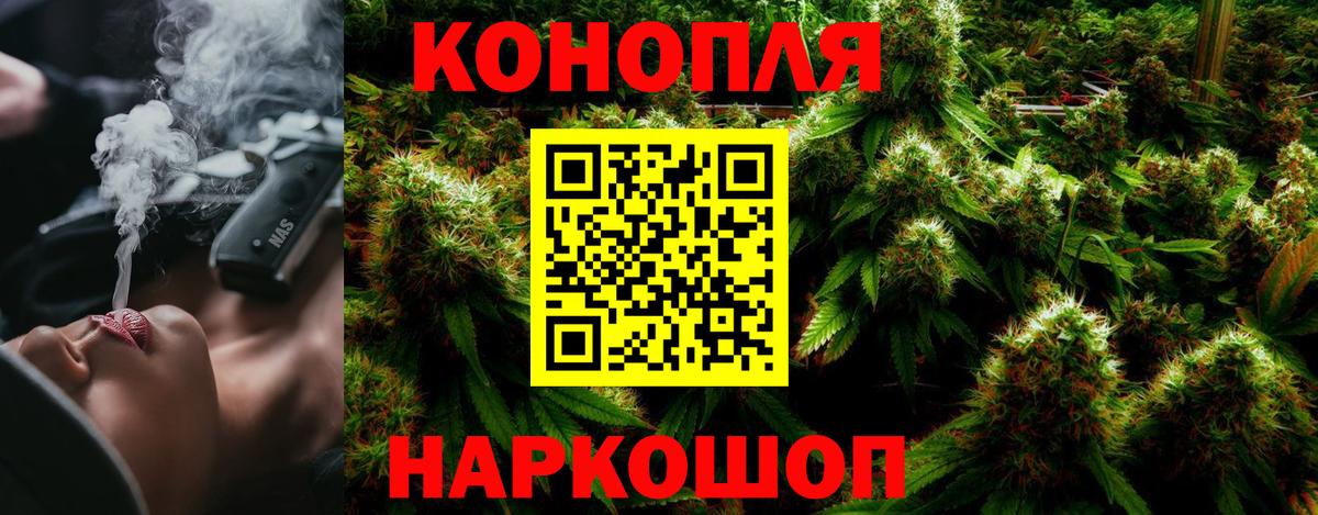 Канабис конопля Новоалтайск